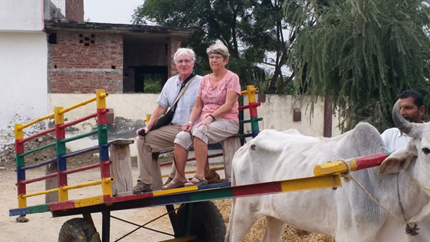 Bullock Cart Ride