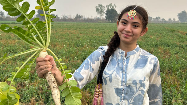 Vegetable Farm